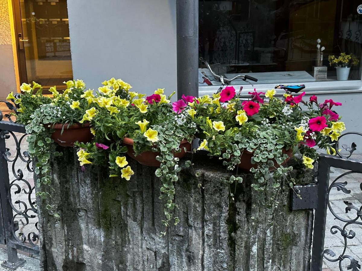 Haus Floralp Διαμέρισμα Ζερμάτ Εξωτερικό φωτογραφία